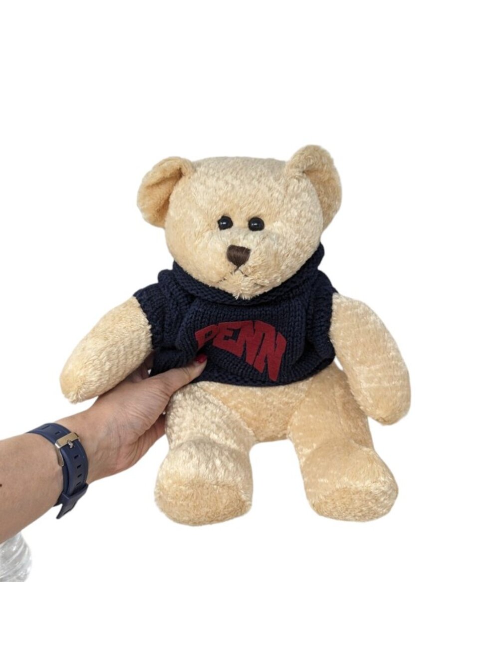 University of Pennsylvania Cream Teddy Bear in Navy Sweater Plush Stuffed Animal